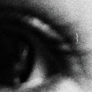 A leading dust plug-in: catchlight smudged, fleck left