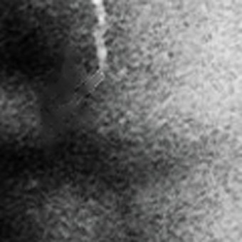 A leading dust plug-in: smeared, hair left behind
