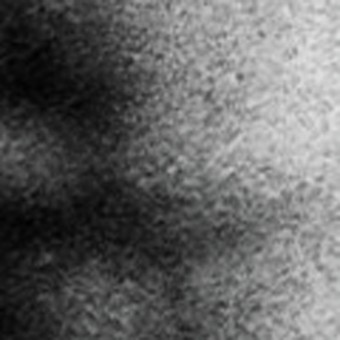 Spot Tone: grain intact