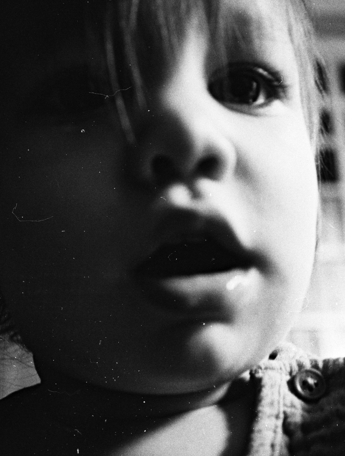A 35mm frame scanned with dust and hairs across the whole image